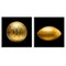 Stupell Industries Golden Designer Sports Balls 2pc Wall Plaque Art Set Design by Graffi*tee Studios